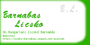barnabas licsko business card
