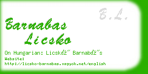 barnabas licsko business card